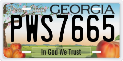 GA license plate PWS7665