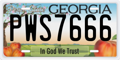 GA license plate PWS7666
