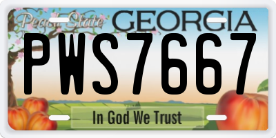 GA license plate PWS7667