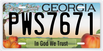 GA license plate PWS7671