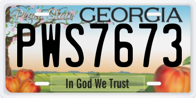 GA license plate PWS7673