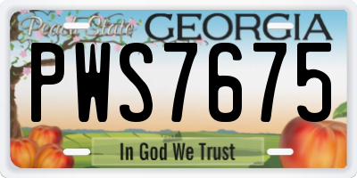 GA license plate PWS7675