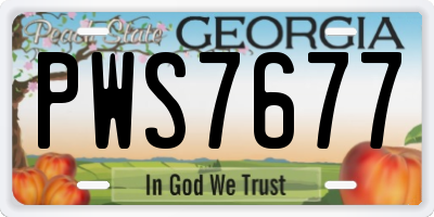GA license plate PWS7677