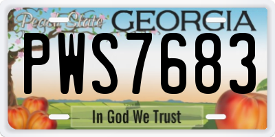 GA license plate PWS7683