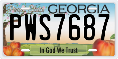 GA license plate PWS7687