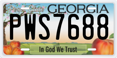 GA license plate PWS7688