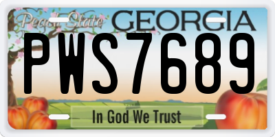 GA license plate PWS7689