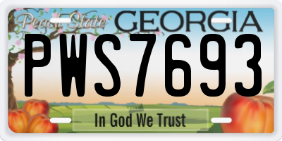 GA license plate PWS7693