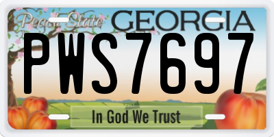 GA license plate PWS7697