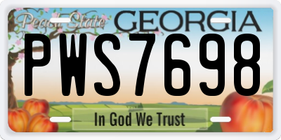 GA license plate PWS7698