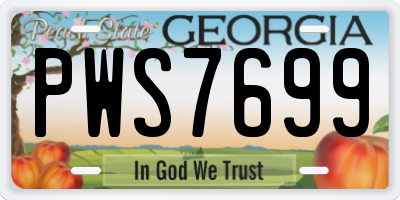 GA license plate PWS7699