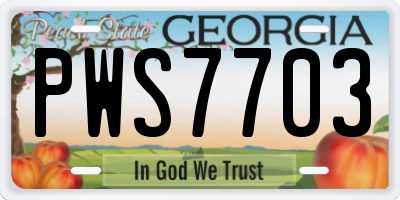 GA license plate PWS7703