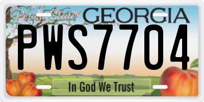GA license plate PWS7704