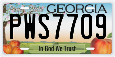 GA license plate PWS7709