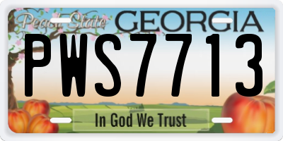 GA license plate PWS7713