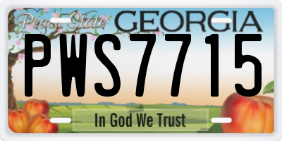 GA license plate PWS7715
