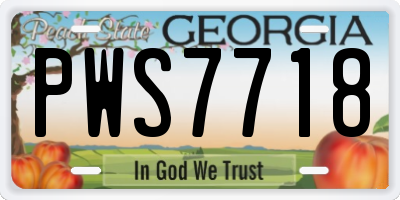 GA license plate PWS7718