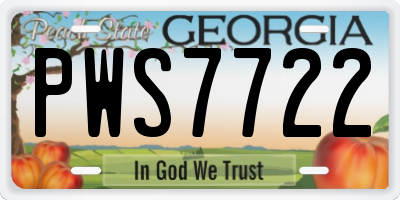 GA license plate PWS7722