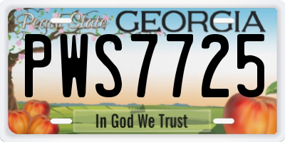 GA license plate PWS7725