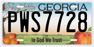 GA license plate PWS7728
