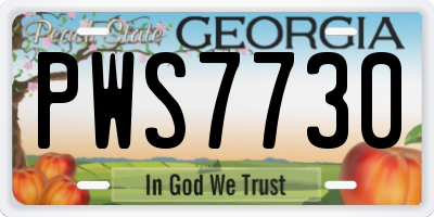 GA license plate PWS7730