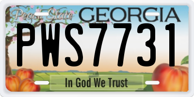GA license plate PWS7731