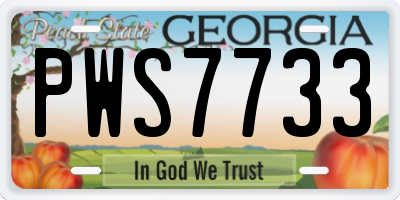GA license plate PWS7733