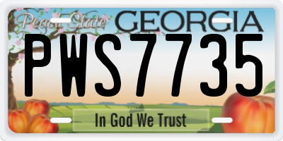 GA license plate PWS7735