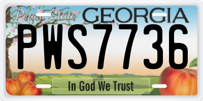 GA license plate PWS7736