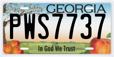 GA license plate PWS7737
