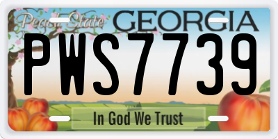 GA license plate PWS7739
