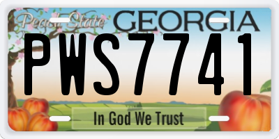 GA license plate PWS7741