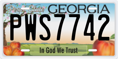 GA license plate PWS7742