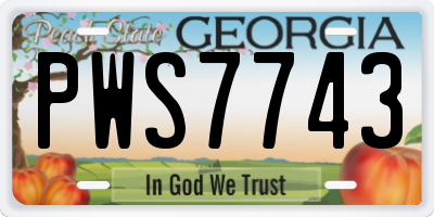 GA license plate PWS7743
