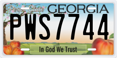 GA license plate PWS7744