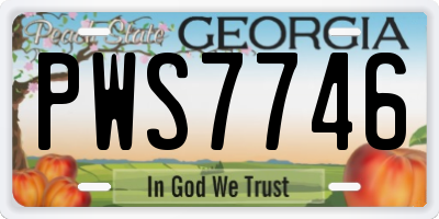 GA license plate PWS7746