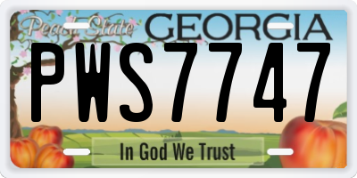 GA license plate PWS7747