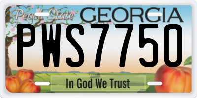 GA license plate PWS7750