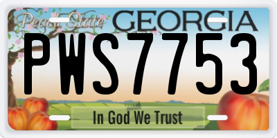 GA license plate PWS7753