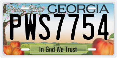 GA license plate PWS7754