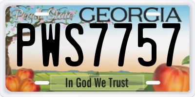 GA license plate PWS7757
