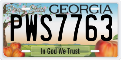GA license plate PWS7763