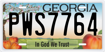 GA license plate PWS7764