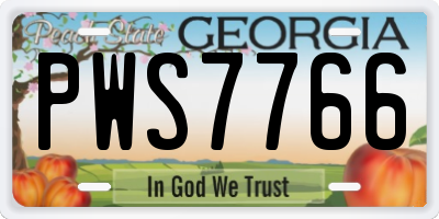 GA license plate PWS7766