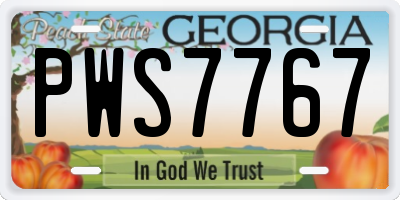 GA license plate PWS7767