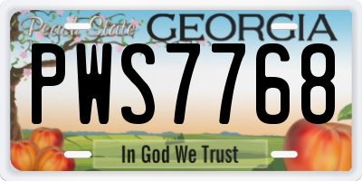 GA license plate PWS7768
