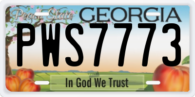GA license plate PWS7773