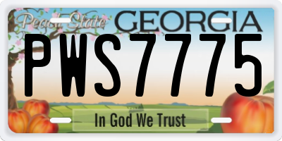 GA license plate PWS7775