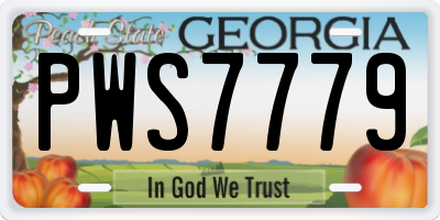 GA license plate PWS7779