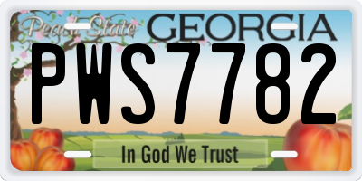 GA license plate PWS7782